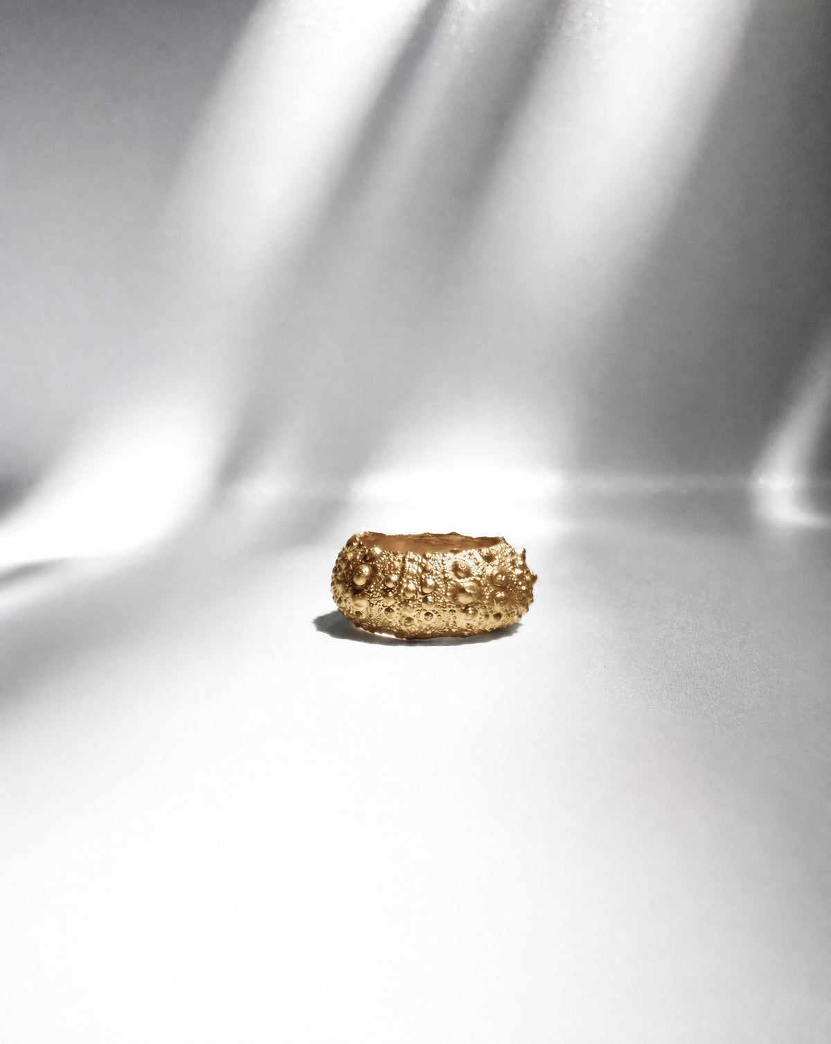 Galene Urchin Bold Ring in gold vermeil, a wide band with preserved sea urchin texture